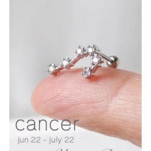 Yıldız Haritası Yengeç Kristal Zirkon Çelik Helix Piercing Küpe 12 Takımyıldızı (ÖZEL GÜN HEDİYESİ) - 1,2 mm