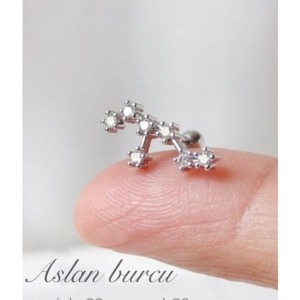 Yıldız Haritası Aslan Kristal Zirkon Çelik Helix Piercing Küpe 12 Takımyıldızı (ÖZEL GÜN HEDİYESİ) - 1,2 mm