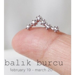 Yıldız Haritası Balık Kristal Zirkon Çelik Helix Piercing Küpe 12 Takımyıldızı (ÖZEL GÜN HEDİYESİ) - 1,2 mm