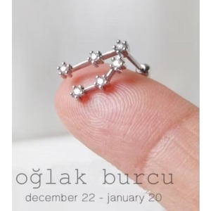 Yıldız Haritası Oğlak Kristal Zirkon Çelik Helix Piercing Küpe 12 Takımyıldızı (ÖZEL GÜN HEDİYESİ) - 1,2 mm