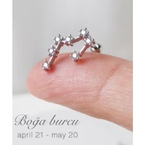 Yıldız Haritası Boğa Kristal Zirkon Çelik Helix Piercing Küpe 12 Takımyıldızı (özel gün Hediyesi) - 1,2 mm