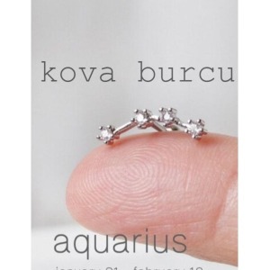 Yıldız Haritası Kova Kristal Zirkon Çelik Helix Piercing Küpe 12 Takımyıldızı (ÖZEL GÜN HEDİYESİ) - 1,2 mm