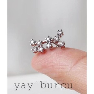 Yıldız Haritası Yay Kristal Zirkon Çelik Helix Piercing Küpe 12 Takımyıldızı (ÖZEL GÜN HEDİYESİ) - 1,2 mm